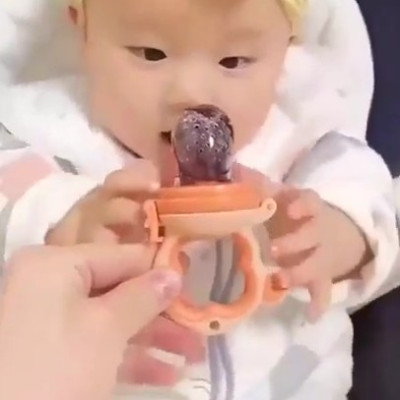 Baby Fruits Feeding Pacifier
